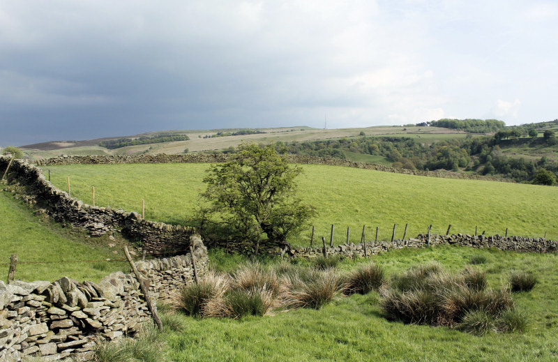 Eyam Moor Eyam Moor